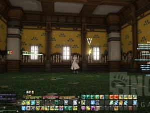 FF14伊修加德复兴：经济型80级配方攻略——适用于低配置玩家的伊修加德复兴宏介绍