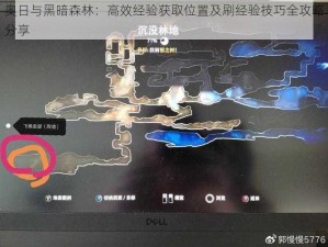 奥日与黑暗森林：高效经验获取位置及刷经验技巧全攻略分享