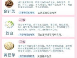 日本哺乳期 XXX 哺乳期专用催乳片，快速下奶，促进宝宝健康成长