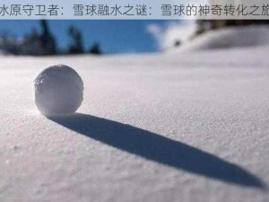 冰原守卫者：雪球融水之谜：雪球的神奇转化之旅