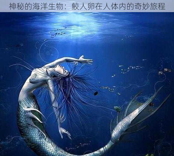 神秘的海洋生物：鲛人卵在人体内的奇妙旅程