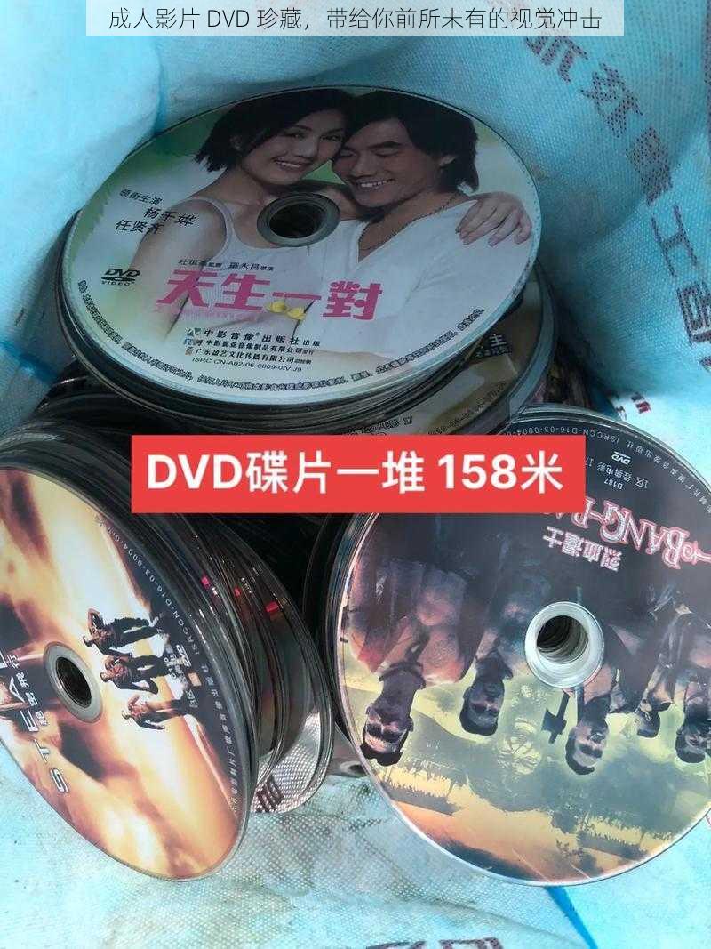 成人影片 DVD 珍藏，带给你前所未有的视觉冲击