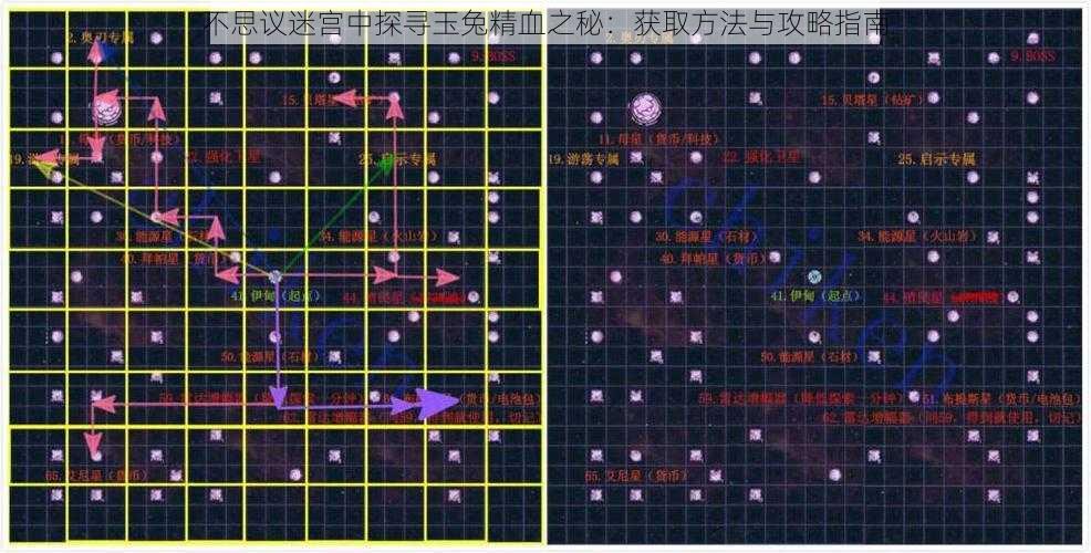 不思议迷宫中探寻玉兔精血之秘：获取方法与攻略指南