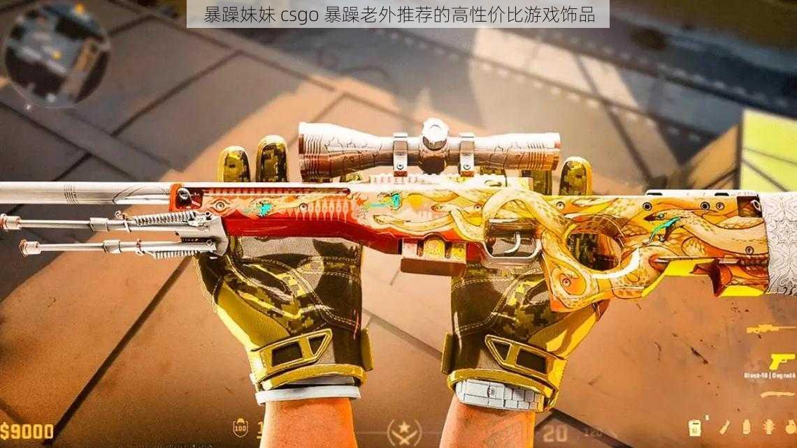 暴躁妹妹 csgo 暴躁老外推荐的高性价比游戏饰品