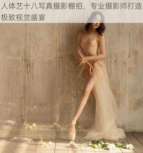 人体艺十八写真摄影棚拍，专业摄影师打造极致视觉盛宴